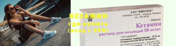 хмурый Верея