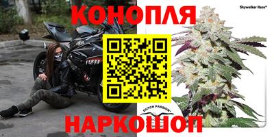 шишки Моздок