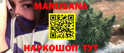 шишки Моздок