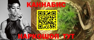 шишки Моздок