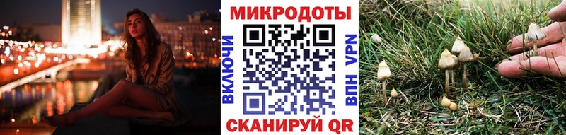 МЕГА онион  Мончегорск  Псилоцибиновые грибы Cubensis  где купить наркотик 